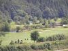 Woodenbridge Hotel & Lodge