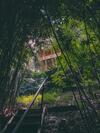 Hotel Bamboo Creek Resort