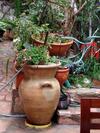 Cozy Garden