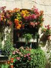 Cozy Garden