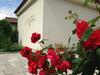 B&B La Falconera