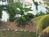 Apartamento Casa Pastel 2