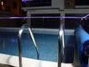 Apartamento Alexa Holiday Dreams