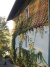 Apartamento Seehaus Karantanien Am Ossiacher See