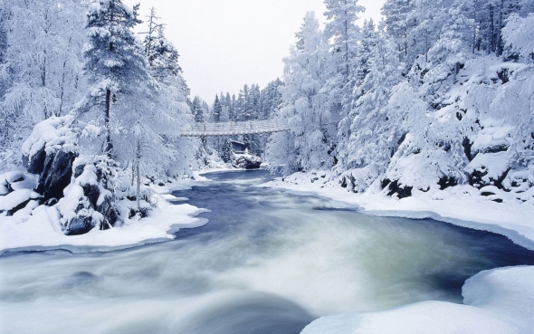 Éste es el típico paisaje de un bosque finés en pleno invierno. 