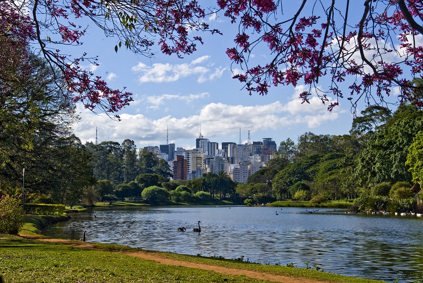 Sao Paulo, Brazil, skyline