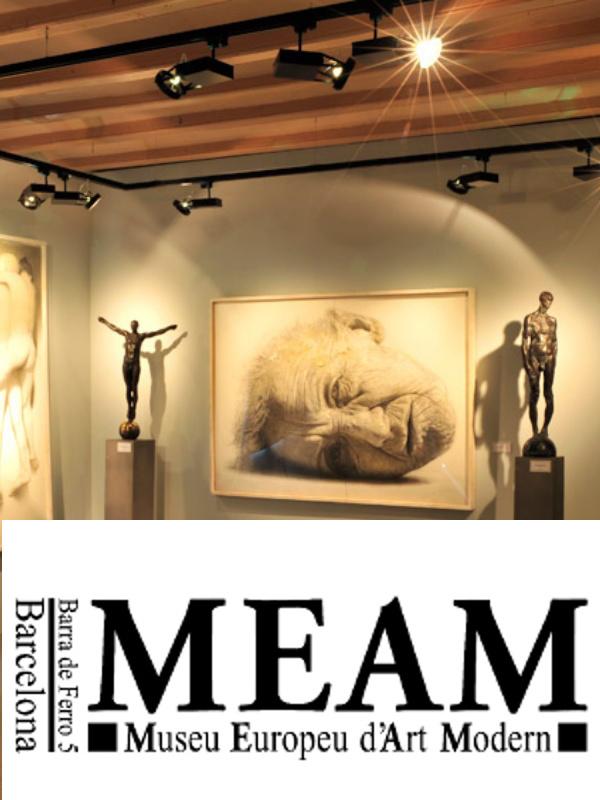 Museu Europeu d'Art Modern (MEAM)