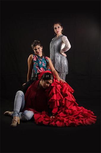 Ciclo de Tablaos Flamencos