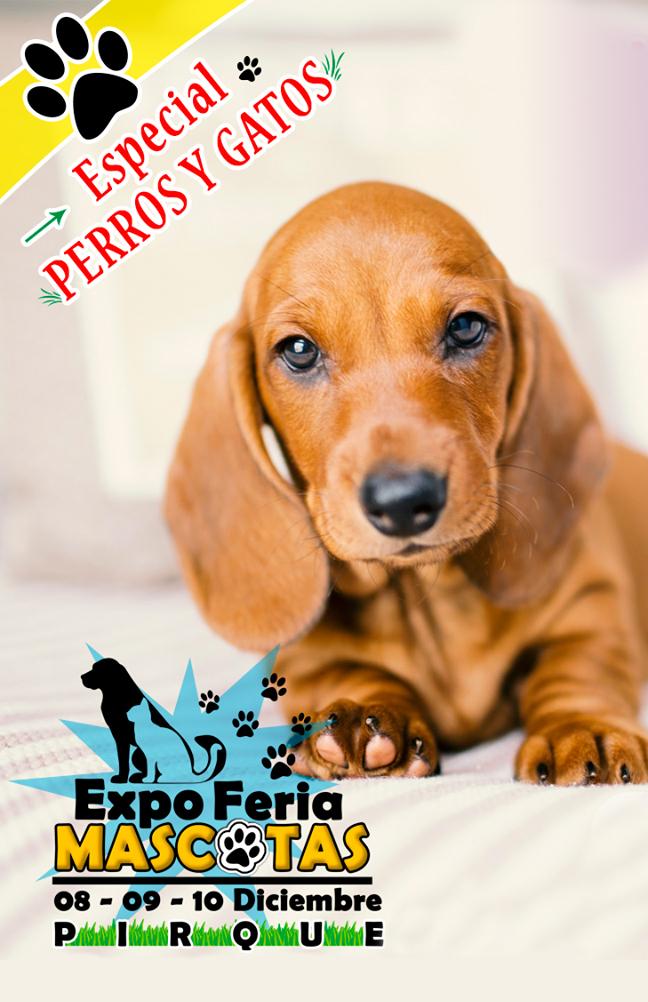 Expo Feria Mascotas - Especial Perros y Gatos