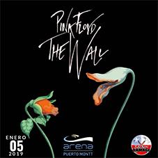 Brain Damage - Pink Floyd The Wall en Arena Puerto Montt