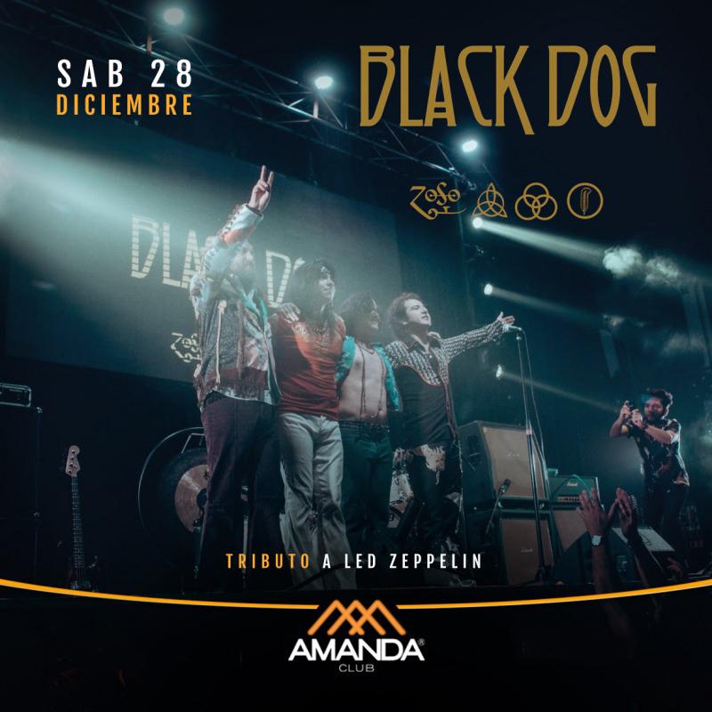 Black Dog Tributo Led Zeppelin en Club Amanda
