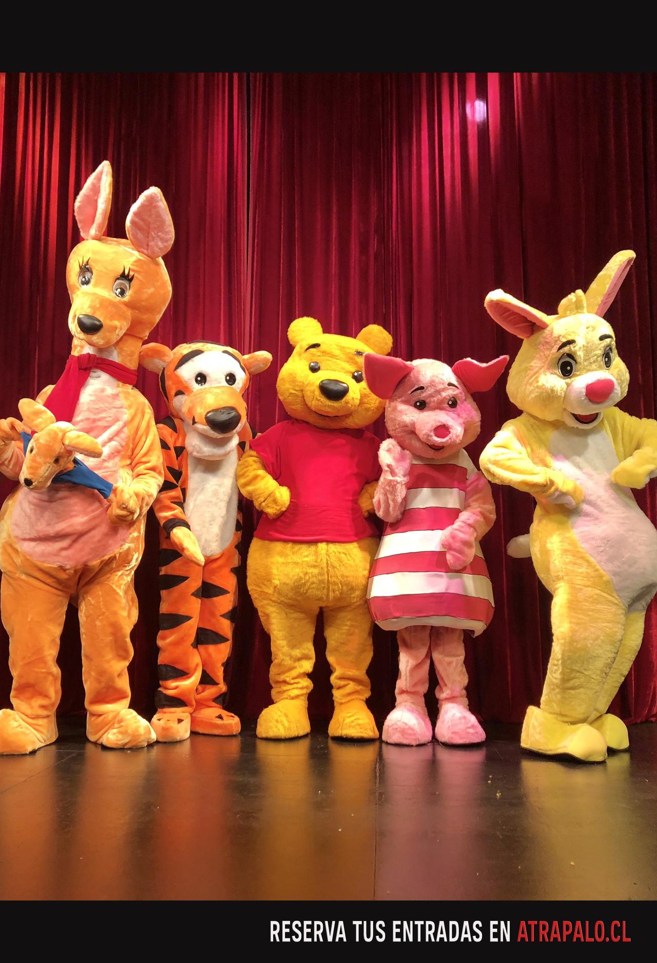 Las Historias de Pooh - Teatro familiar 