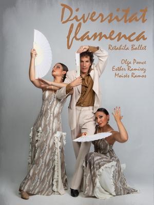 Diversitat Flamenca