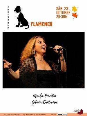 Perro Paco Flamenco de Otoño: Marta Heredia -  Cantaora Gitana