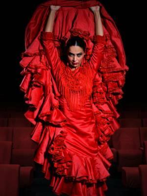 Esencia - Espectáculo flamenco
