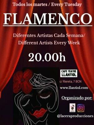 Flamenco Llantiol