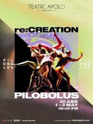 Pilobolus re: Creation